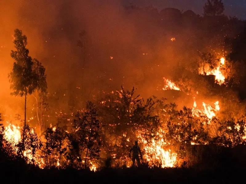 La UE propone 120 millones para la recuperación de España tras incendios forestales