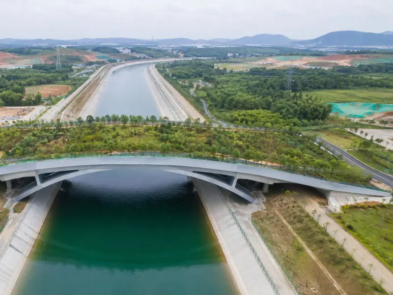 China construye un puente de 240 metros para proteger la fauna silvestre