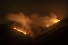 Incendios forestales y economía verde en Mangas Verdes 487