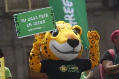Greenpeace lanza la 'Ruta del jaguar' para proteger la Selva Maya