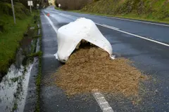 Vertido de silo de maíz obstruye una vía en Oleiros