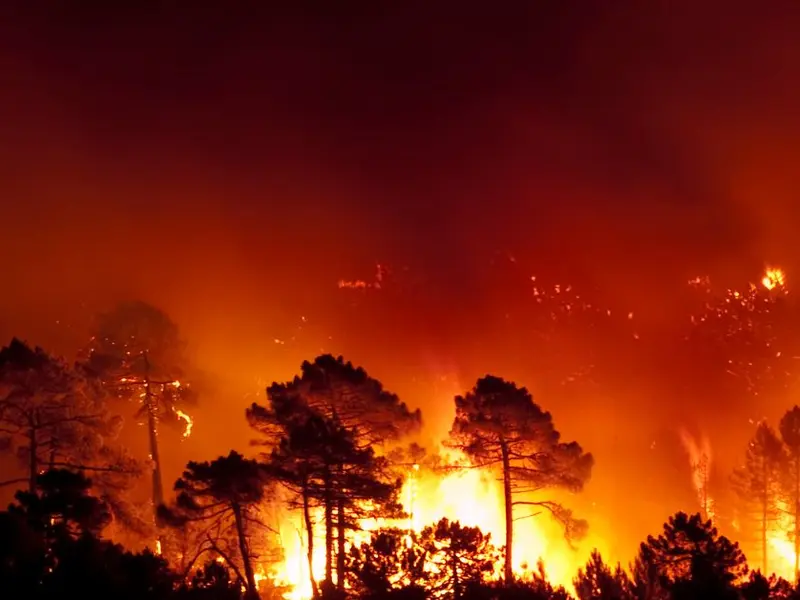 España lanza campaña de prevención contra incendios forestales para el verano 2026