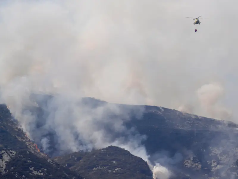 La clave para prevenir incendios forestales radica en el apoyo al sector rural