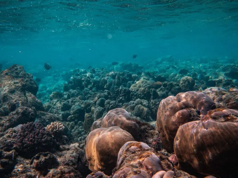 España prioriza la investigación marina para enfrentar el cambio climático