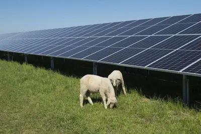 La energía solar fotovoltaica, clave en la lucha contra el cambio climático en España