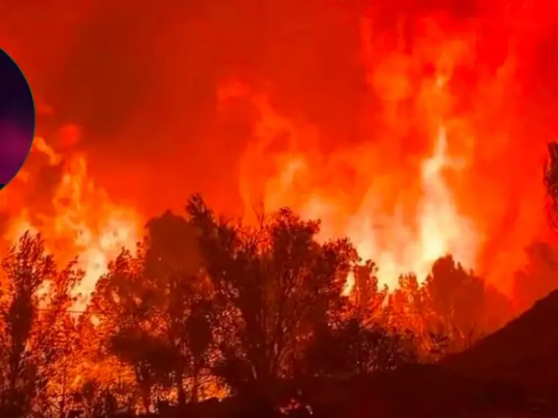 Miguel Bosé critica a ecologistas y energías renovables por incendios en España