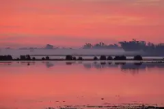 Descubren el agua invisible que sustenta la vida en Doñana sin lluvia