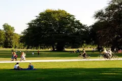 El biomaratón internacional une a miles para explorar la biodiversidad urbana