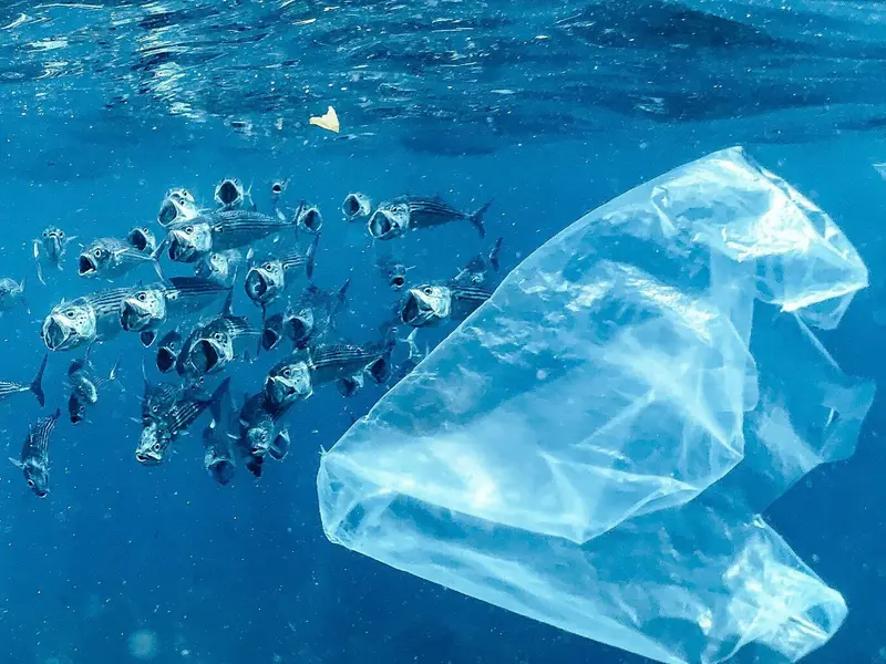 La contaminación plástica en océanos podría triplicarse antes de 2060