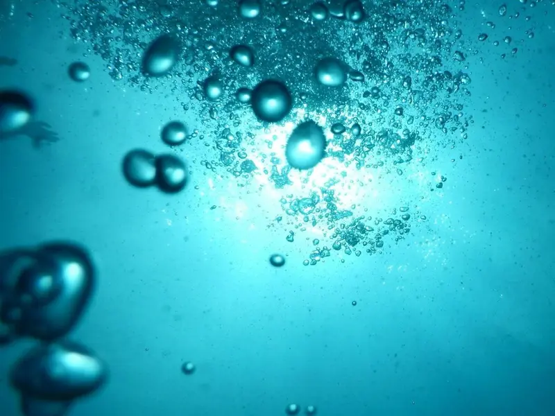 Creciente debate sobre los centros de datos submarinos y su impacto ambiental