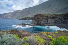 El Hierro crea un banco de semillas para conservar su biodiversidad y especies endémicas