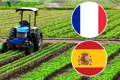 El cambio climático impulsa el cultivo del pistacho en Francia y España