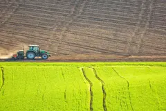 El Parlamento Europeo aprueba la desregulación de organismos modificados genéticamente