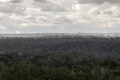 Brasil aprueba ley para construir ferrocarril que afectará la Amazonía