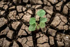 La preocupación por el cambio climático en España disminuye notablemente
