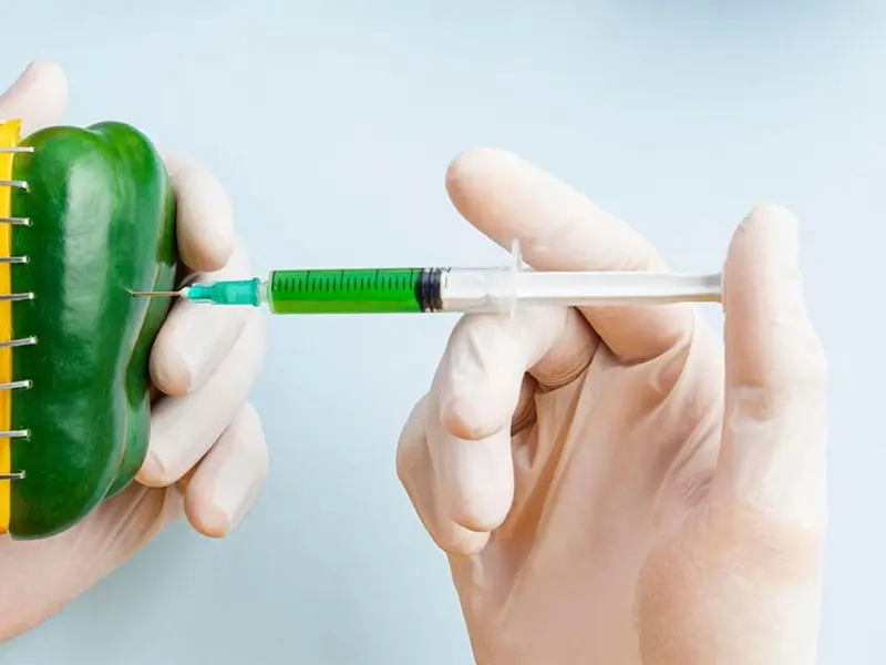 Día Internacional de la Oposición a los Transgénicos 2026: un llamado sobre sus riesgos ambientales