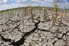 La degradación de tierras y la sequía como riesgo global que impacta la economía y la seguridad