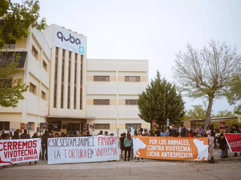 El juicio por maltrato animal en Vivotecnia reabre el debate sobre la experimentación con animales