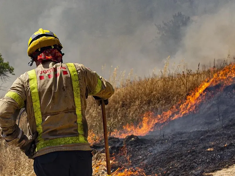 El ozono de incendios forestales podría causar 2.000 muertes anuales en EE. UU.