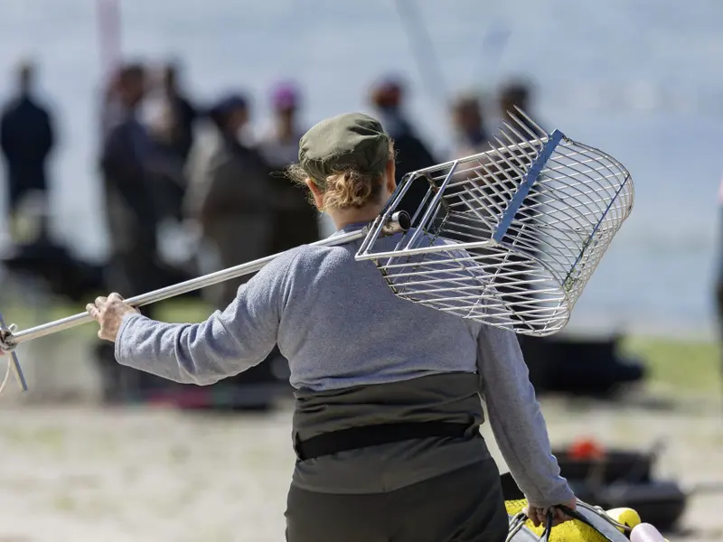 Crisis del marisqueo en Galicia: mortandad severa y futuro incierto