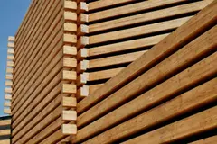 La madera: clave en la economía sostenible europea mediante construcción ecológica y biocombustibles