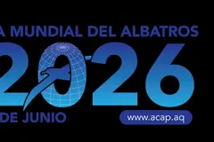 Día Mundial de los Albatros 2026: las aves marinas en peligro crítico
