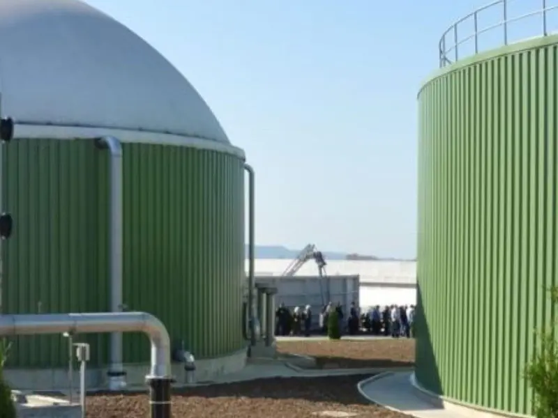 Bioenergy Europe exige un mayor apoyo a la bioenergía sostenible en Europa