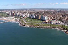 Descubren nueva especie de erizo en el océano profundo de Argentina