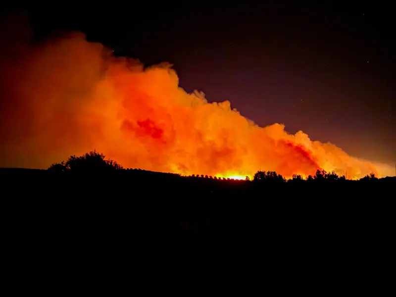 El Gobierno lanza un plan para prevenir incendios forestales este verano