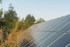 Preocupación por la construcción de plantas solares cerca de nidos de águila en Guadalajara