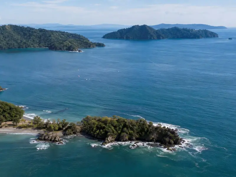 El Golfo de Panamá pierde su surgencia por vientos débiles, afectando la vida marina