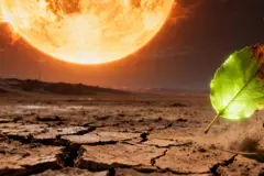 Estudio revela que las plantas podrían sobrevivir 1.900 millones de años más en la Tierra
