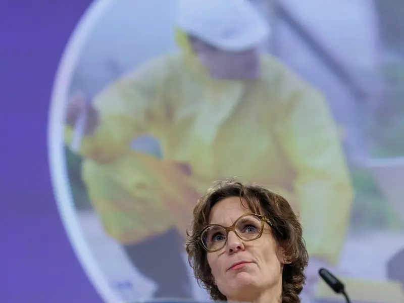 Ecologistas alertan sobre reunión de la comisaria Roswall con mineras suecas