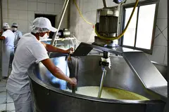 Hereu insta a informar sobre problemas de conexión eléctrica en la industria española