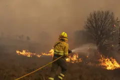 Incendios en Galicia: más de 280 hectáreas afectadas y un despliegue de medios de extinción