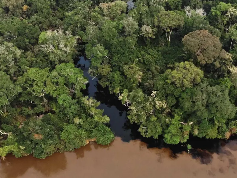 Investigación revela que ríos africanos emiten CO₂ antiguo, alarmando a científicos