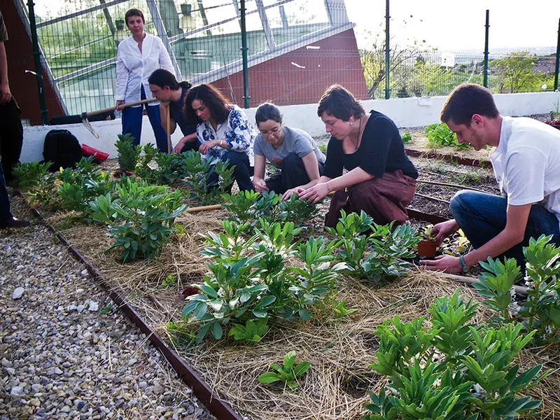 Curso gratuito de educación ambiental para jóvenes en Rivas Vaciamadrid