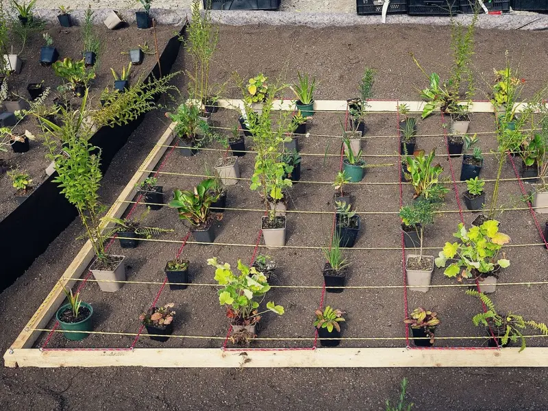 Berlín implementa un árbol cada 15 metros para combatir el calor del cambio climático