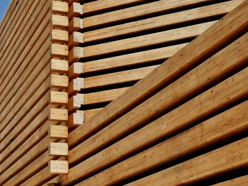 La madera: clave en la economía sostenible europea mediante construcción ecológica y biocombustibles