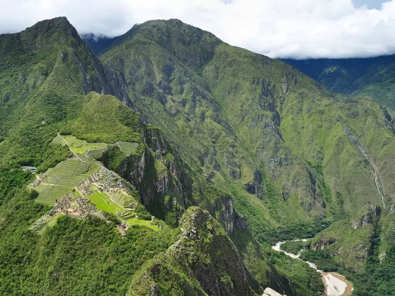 Perú lanza campaña para reforestar Machu Picchu con un millón de árboles nativos