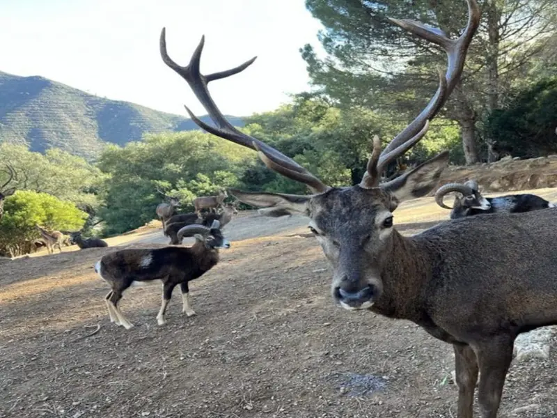 La Junta de Andalucía recurre ante el Supremo por la Eco Reserva de Ojén en Málaga