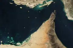 Impacto del cierre en el Estrecho de Ormuz amenaza la vida marina