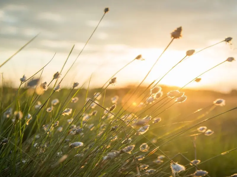 Inestabilidad atmosférica en España: Tormentas y calima marcan el 28 de abril