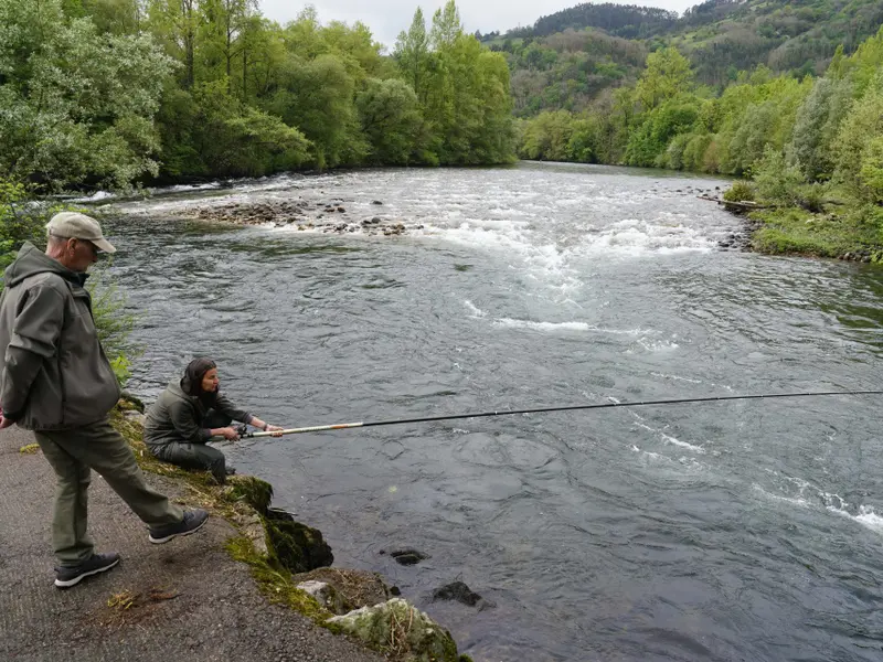 La veda del salmón genera controversia ante su descenso poblacional