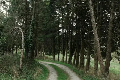 Rutas guiadas gratuitas en Navarra para descubrir su biodiversidad este primavera
