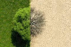La preocupación de los españoles por el cambio climático cae un 25% desde 2019