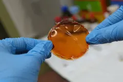 Desarrollan una membrana que mejora la separación de hidrógeno en un 800% para energía limpia