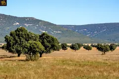 Más de 14 millones para la conservación del Parque Nacional de Cabañeros