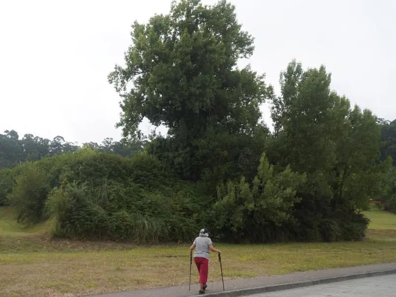Oleiros inicia la expropiación de parcelas para completar el parque de Canide