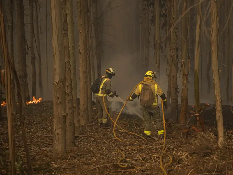 España enfrenta un aumento alarmante de incendios forestales ante una ola de calor